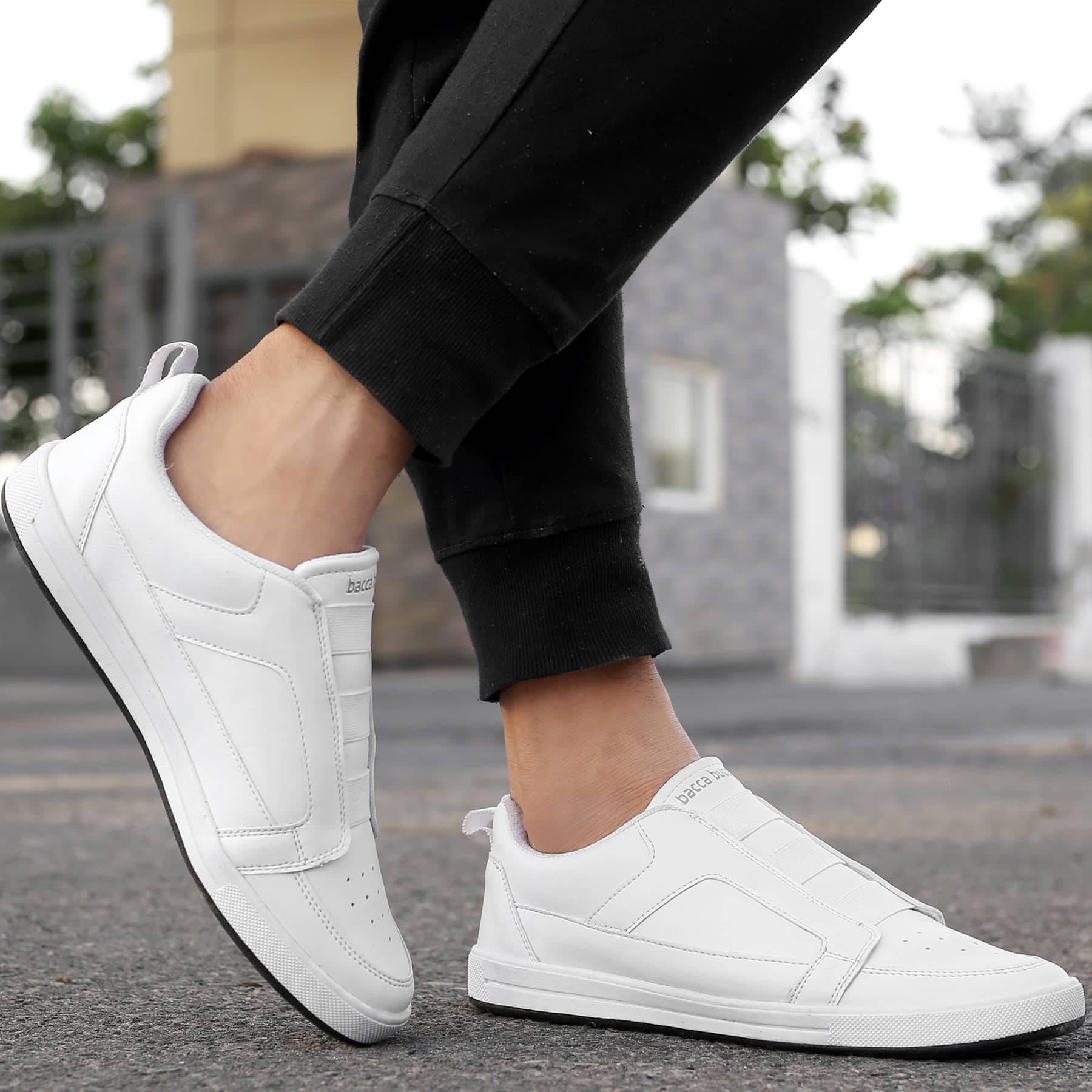 Bacca Bucci Smoky - Image 3
